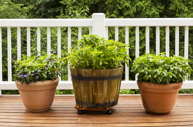 Garden outdoor space