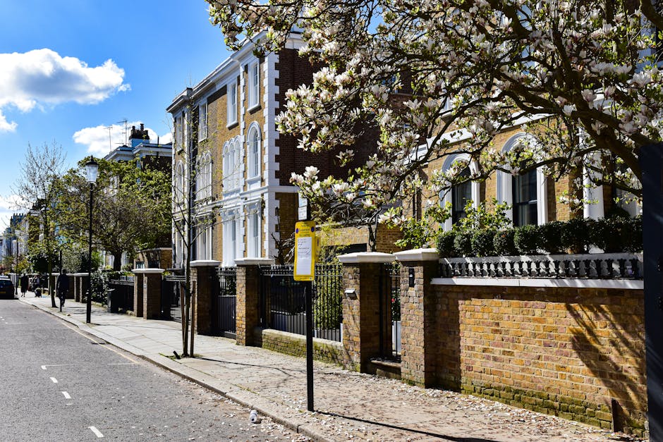 A street scene in Shepherd's Bush featuring a row of terraced houses with brick facades, decorative white window frames, and small front gardens enclosed by low brick walls and black iron gates. The foreground shows a paved sidewalk lined with leafless young trees, and a street lamp is visible on the left. A large blossoming tree with white flowers extends its branches across the image, casting shadows on the pavement. The sky is bright with some scattered clouds, indicating a sunny day. The context suggests outdoor maintenance work, with well-kept lawns and trimmed hedges visible through the fencing, exemplifying professional garden care by Gardeners Shepherd's Bush.